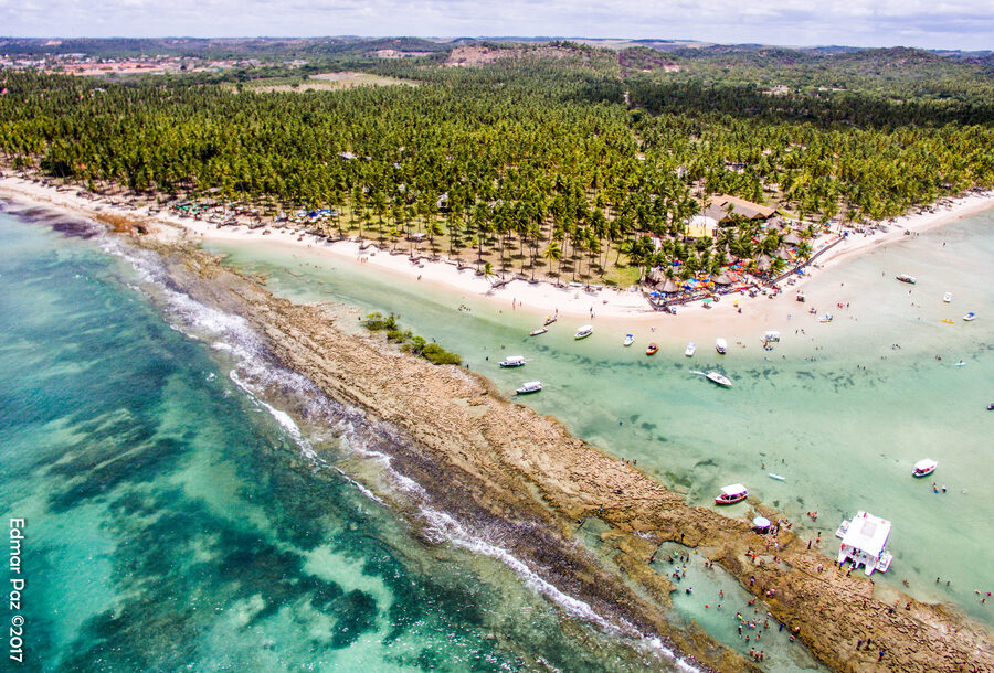Passeio de barco para Praia dos Carneiros Tamandaré PE
